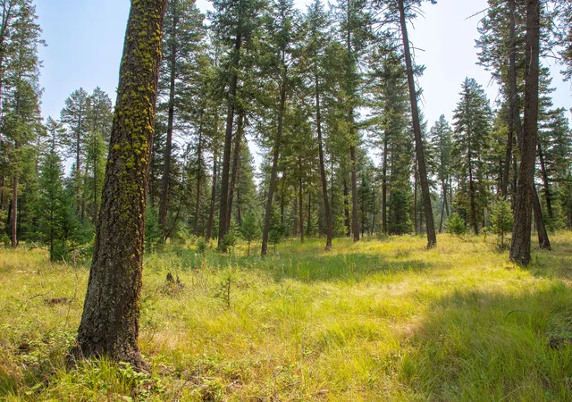 Photo 3 of Land for sale at 415 Bowdish Rd, Kalispell, MT 59901 | MLS# 30076029 | Listing updated on 2026-07-31