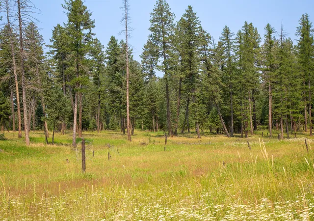 Photo 3 of House for sale at 415 Bowdish Rd, Kalispell, MT 59901 | MLS# 30076029 | Listing updated on 2026-07-31