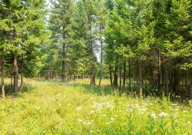 Photo 1 of Land for sale at Nhn Bowdish Rd, Kalispell, MT 59901 | MLS# 30076070 | Listing updated on 2026-08-01