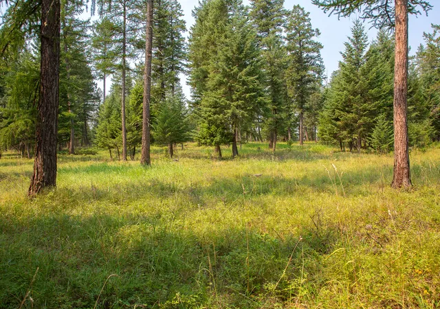 Photo 2 of Land for sale at Nhn Bowdish Rd, Kalispell, MT 59901 | MLS# 30076070 | Listing updated on 2026-08-01