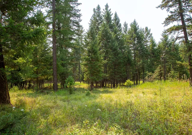 Photo 3 of Land for sale at Nhn Bowdish Rd, Kalispell, MT 59901 | MLS# 30076070 | Listing updated on 2026-08-01