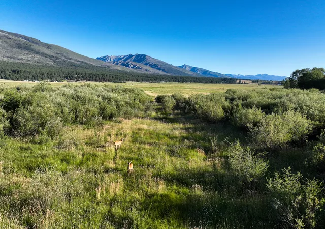 5th image of Nhn Hwy 93 S, Hamilton, MT 59840 | MLS# 30076072