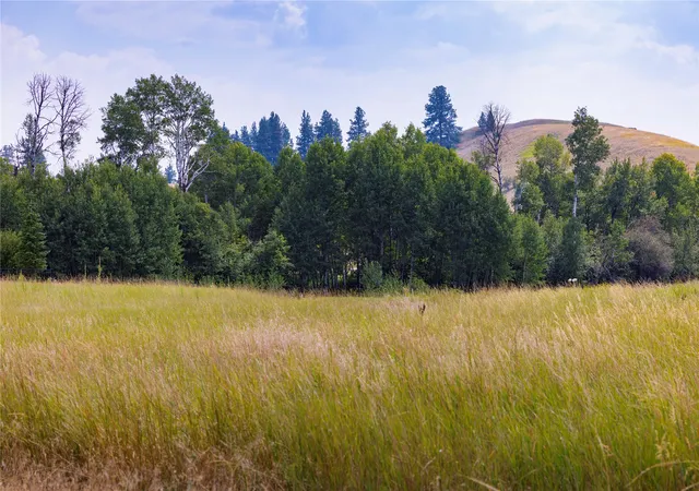 4th image of 62 Heron Rd, Eureka, MT 59917 | MLS# 30075849