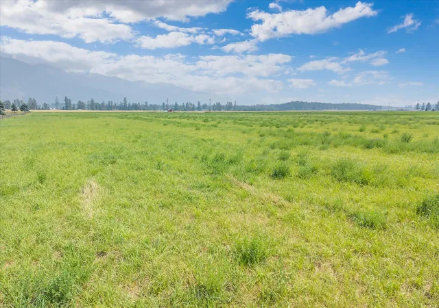 3rd image of 1100 Fairview Cemetery Rd, Columbia Falls, MT 59912 | MLS# 30076052