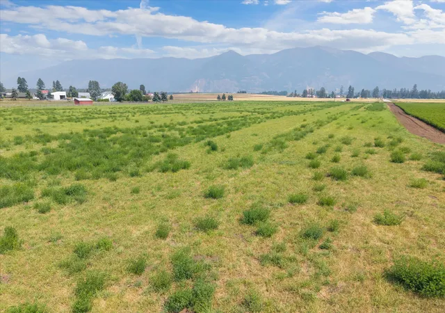 4th image of 1100 Fairview Cemetery Rd, Columbia Falls, MT 59912 | MLS# 30076052