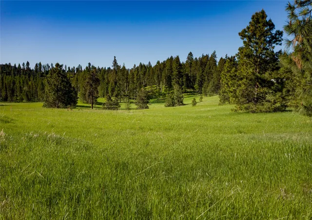 10th image of Nhn Lot 4 Northshore Dr #Lot 4, Bigfork, MT 59911 | MLS# 30076148