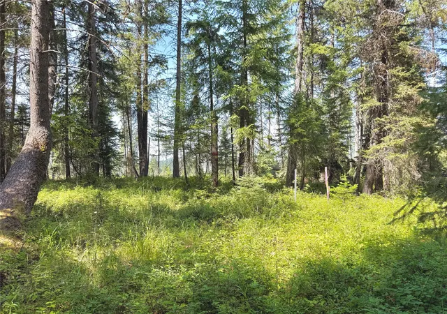 1st image of 825 South Fork Rd, Martin City, MT 59926 | MLS# 30075910