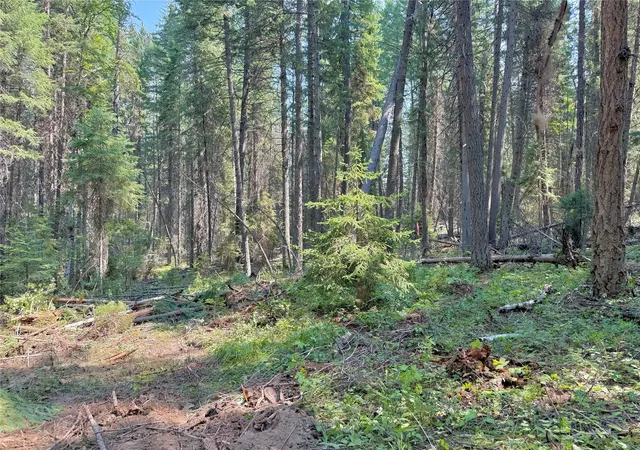 2nd image of 825 South Fork Rd, Martin City, MT 59926 | MLS# 30075910