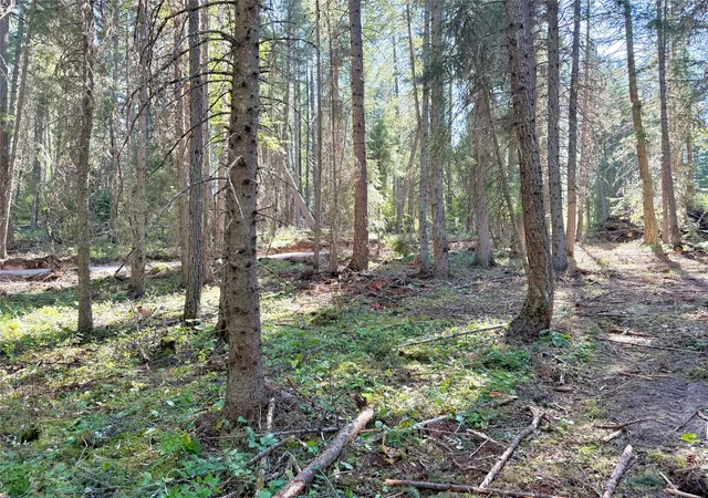Photo 3 of Land for sale at 825 South Frk Rd, Martin City, MT 59926 | MLS# 30075910 | Listing updated on 2026-08-28