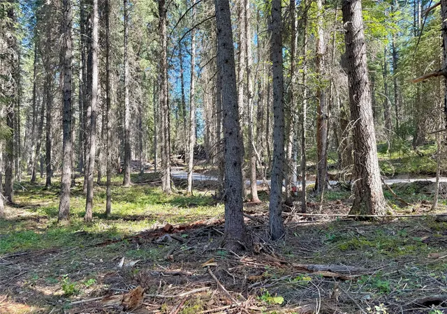 Photo 4 of Land for sale at 825 South Frk Rd, Martin City, MT 59926 | MLS# 30075910 | Listing updated on 2026-08-28