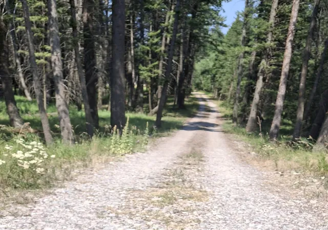 Photo 2 of Single family home for sale at 191 Elk Park Rd, Columbia Falls, MT 59912 | MLS# 30076290 | Listing updated on 2026-09-01