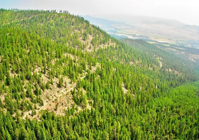 Photo 11 of Land for sale at Nhn W Frk Combest Crk, Plains, MT 59859 | MLS# 30076152 | Listing updated on 2026-08-27