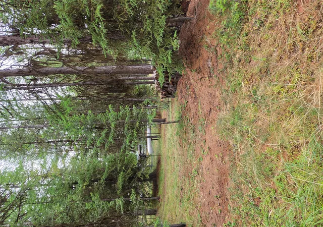 Photo 3 of Land for sale at 1256 Bitterroot Ln, Marion, MT 59925 | MLS# 30076884 | Listing updated on 2026-10-05