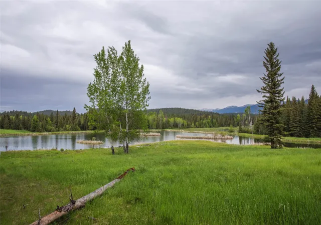 Photo 97 of Single family home for sale at 463 Tamarack Crk Rd, Whitefish, MT 59937 | MLS# 30076920 | Listing updated on 2026-09-01