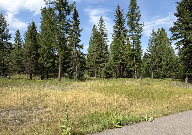 Photo 3 of Land for sale at 517 Haskill Ranch Rd, Kila, MT 59920 | MLS# 30077300 | Listing updated on 2026-08-28