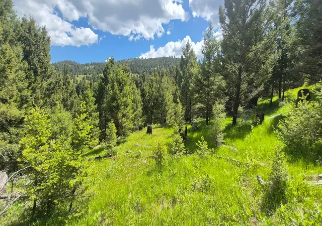Photo 1 of Land for sale at 28 Muskrat Rd, Helmville, MT 59843 | MLS# 30077548 | Listing updated on 2026-08-29
