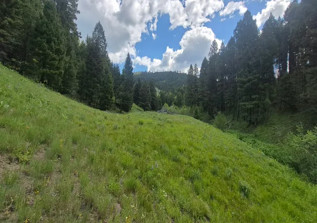 Photo 21 of Land for sale at 28 Muskrat Rd, Helmville, MT 59843 | MLS# 30077548 | Listing updated on 2026-08-29