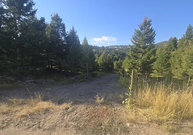 Photo 2 of Land for sale at 28 Muskrat Rd, Helmville, MT 59843 | MLS# 30077548 | Listing updated on 2026-08-29