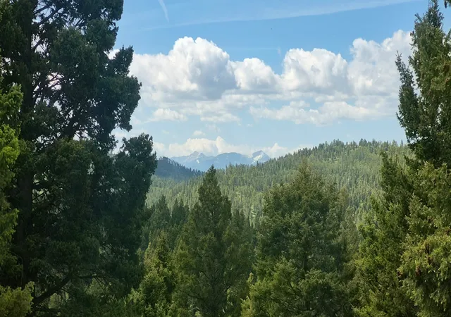 Photo 3 of Land for sale at 28 Muskrat Rd, Helmville, MT 59843 | MLS# 30077548 | Listing updated on 2026-08-29