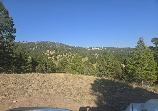 Photo 5 of Land for sale at 28 Muskrat Rd, Helmville, MT 59843 | MLS# 30077548 | Listing updated on 2026-08-29