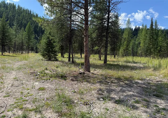 Photo 3 of Land for sale at Tbd Lot12 Schrieber Lake Subdivision, Libby, MT 59923 | MLS# 30077599 | Listing updated on 2026-08-29