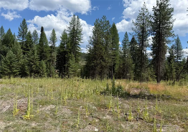 Photo 3 of Land for sale at Tbd Lot12 Schrieber Lake Subdivision, Libby, MT 59923 | MLS# 30077599 | Listing updated on 2026-08-29