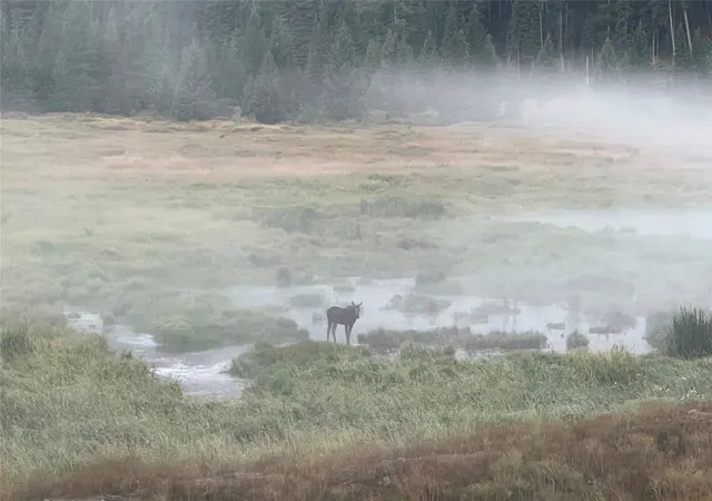 Photo 4 of Land for sale at Tbd Lot12 Schrieber Lake Subdivision, Libby, MT 59923 | MLS# 30077599 | Listing updated on 2026-08-29