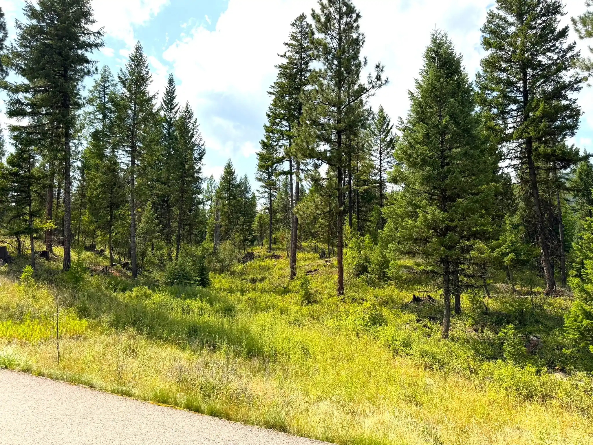 Photo 1 of Land for sale at 422 Haskill Ranch Rd #30, Kila, MT 59920 | MLS# 30077798 | Listing updated on 2026-10-11