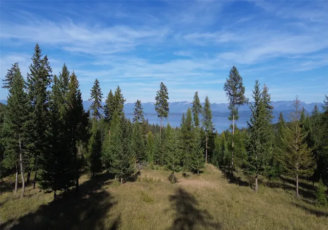 Land for sale at 150 Eagles Crst Rd, Lakeside, MT 59922 | MLS# 30078299