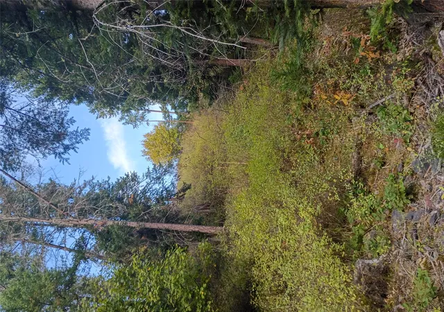 Photo 3 of Land for sale at Nhn, Kalispell, MT 59901 | MLS# 30078877 | Listing updated on 2026-10-07