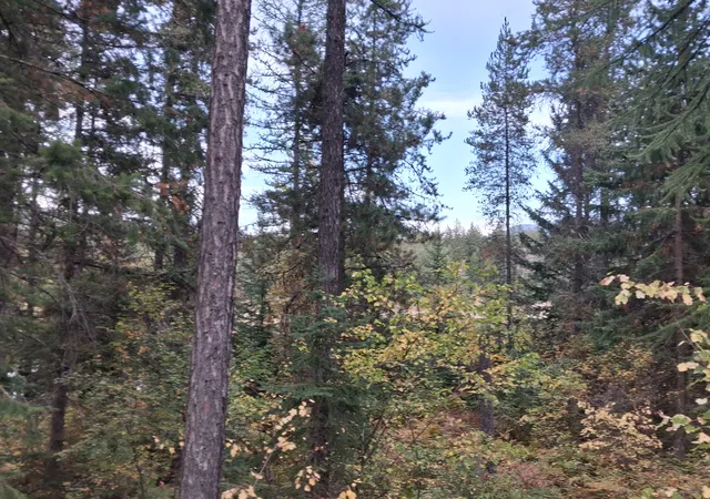 Photo 3 of Land for sale at 292 River Dr, Hungry Horse, MT 59919 | MLS# 30078998 | Listing updated on 2026-10-06