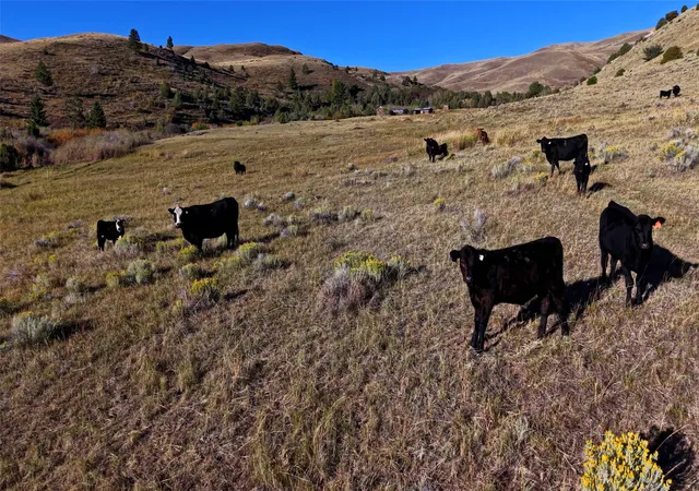 Photo 3 of Land for sale at Nhn Small Horn Rd, Dillon, MT 59725 | MLS# 30079033 | Listing updated on 2026-09-28