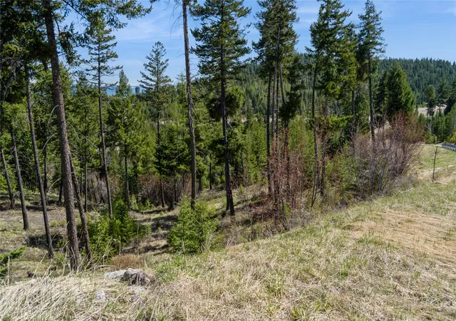 Land for sale at 1027 Trappers Crk, Lakeside, MT 59922 | MLS# 30079457