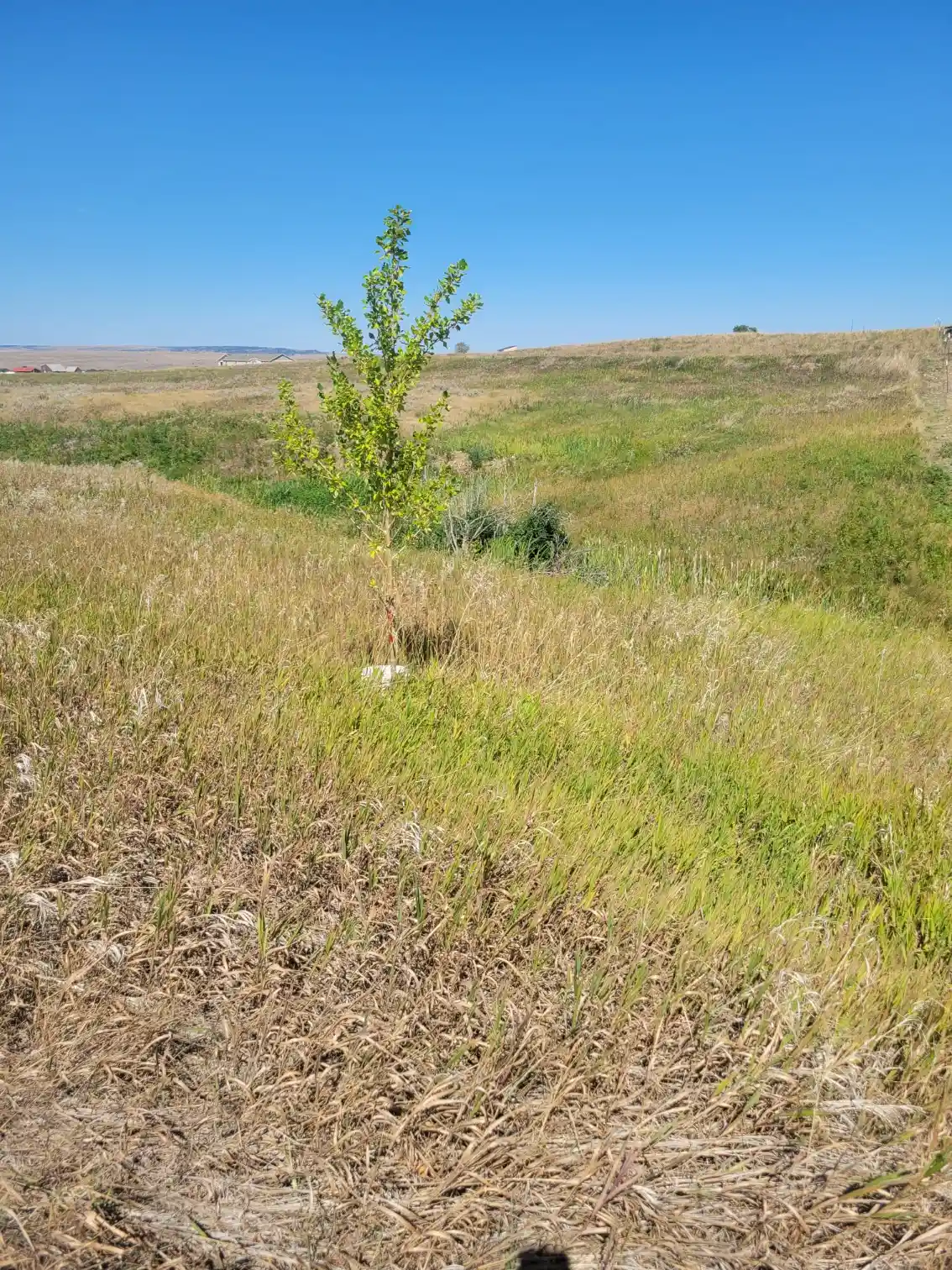 Photo 1 of Land for sale at 148 Internet Access, Roberts, MT 59070 | MLS# 30079715 | Listing updated on 2026-10-14