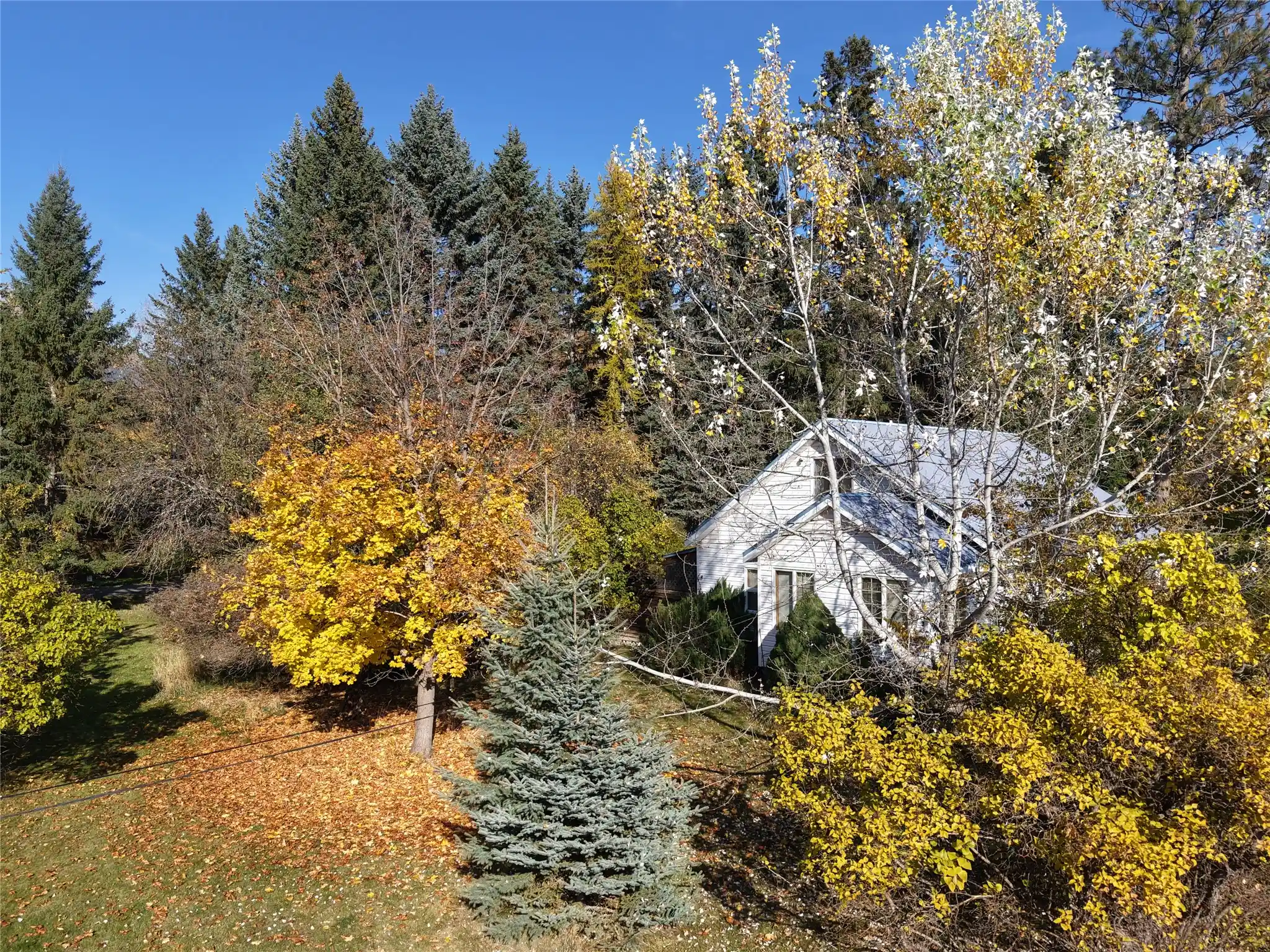 Photo 1 of Single family home for sale at 303 Texas Ave, Whitefish, MT 59937 | MLS# 30080151 | Listing updated on 2026-10-22