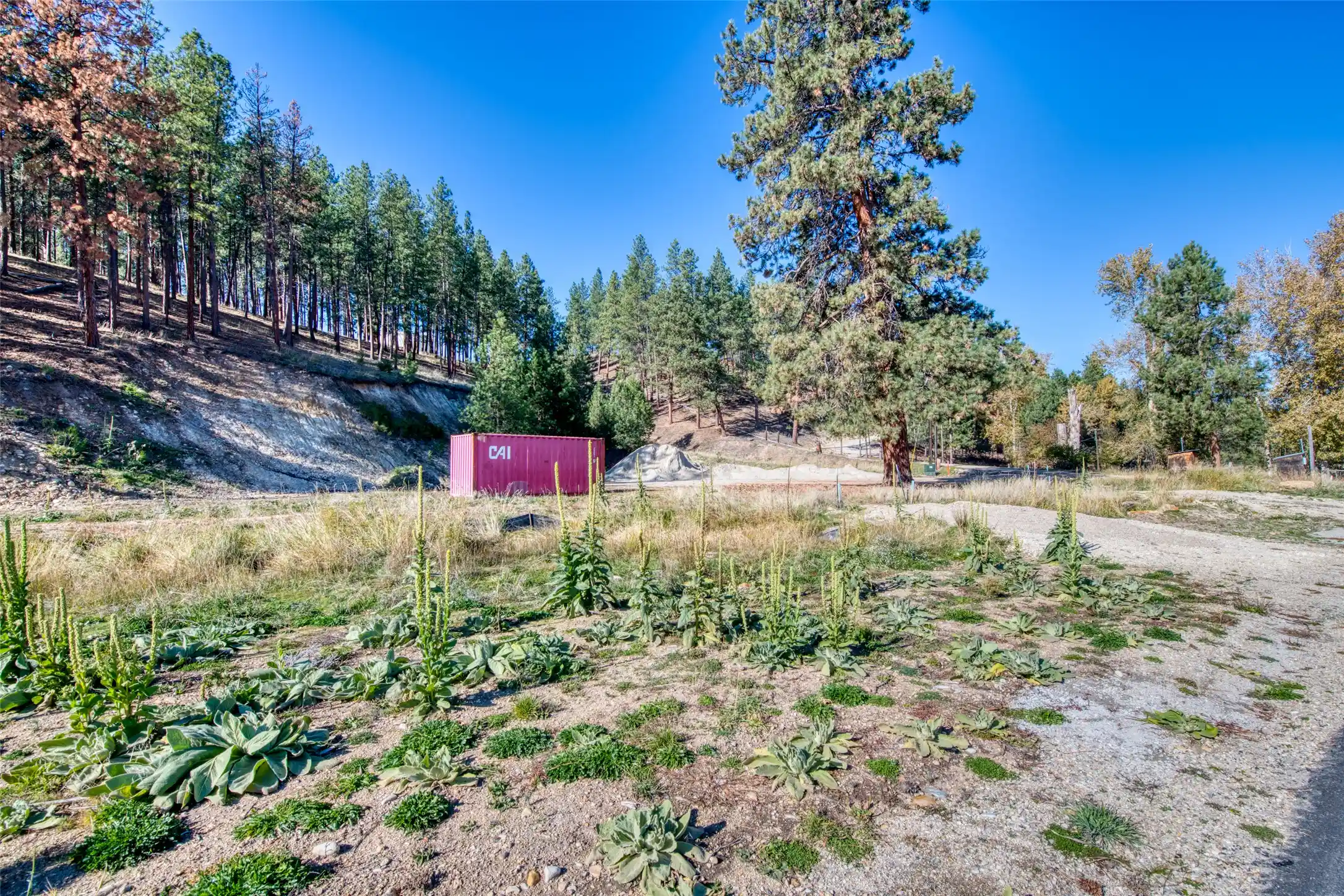 Photo 1 of Land for sale at Lot 40 Darby Ests, Darby, MT 59829 | MLS# 30080104 | Listing updated on 2026-10-27