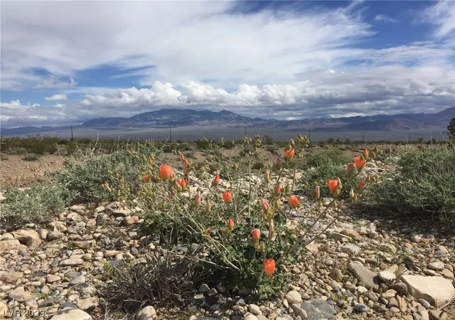 Photo 3 of Land for sale at Kyle Canyon Road, Las Vegas, NV 89166 | MLS# 2510373 | Listing updated on 2025-12-06