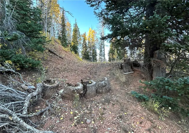 3rd image of 660 W Ski View Dr, Brian Head, UT 84719 | MLS# 2620725