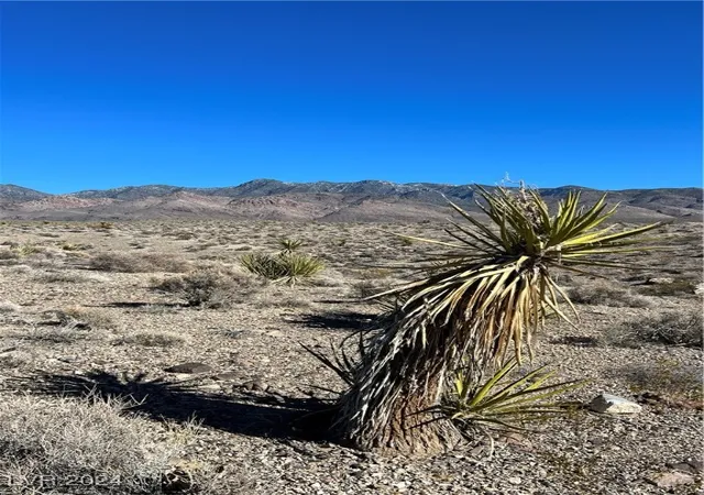 Photo 3 of Land for sale at 2381 E Mazzuka Ave, Pahrump, NV 89060 | MLS# 2634453 | Listing updated on 2026-09-27