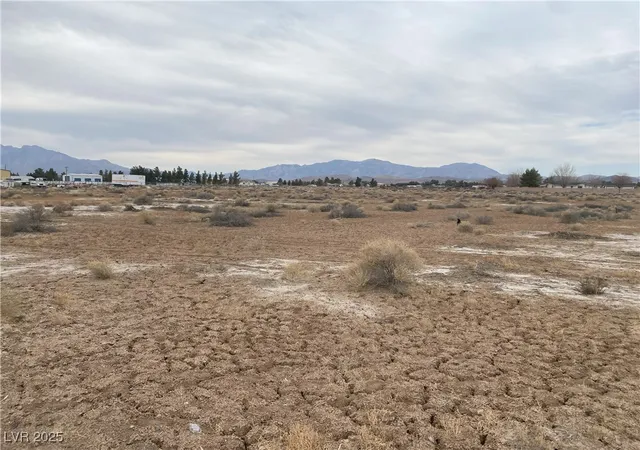 5th image of 3030 W Basin Ave, Pahrump, NV 89060 | MLS# 2678068