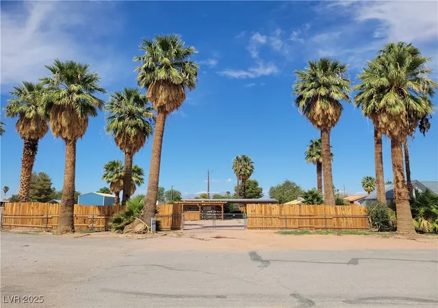 Homes for sale in Overton, NV | 542 Bonelli Ave, Overton, NV 89040 | MLS# 2684080