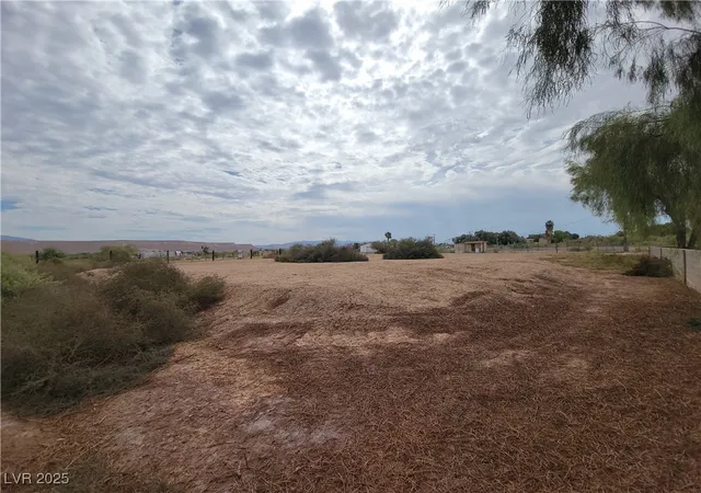 Homes for sale in Overton, NV | S Moapa Valley, Overton, NV 89040 | MLS# 2684902