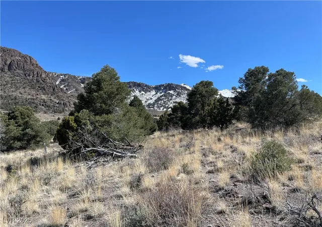 Homes for sale in Ely, NV | P 15 Butte Valley, Ely, NV 89301 | MLS# 2689396