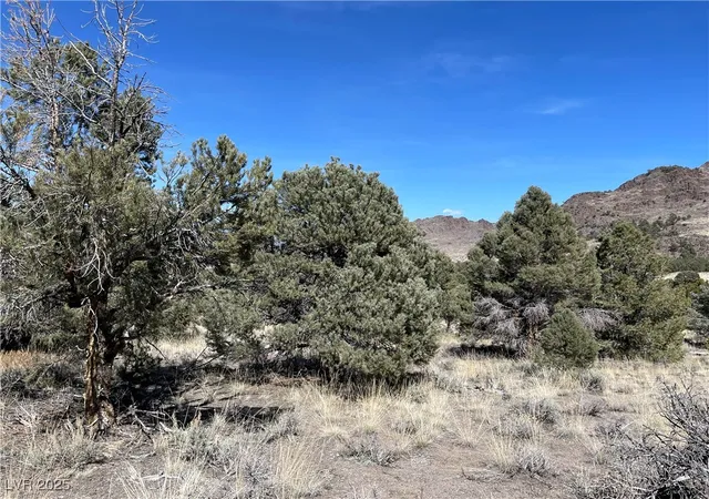 Homes for sale in Ely, NV | P 15 Butte Valley, Ely, NV 89301 | MLS# 2689396
