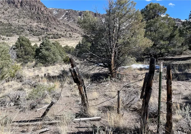 Homes for sale in Ely, NV | P 19 Butte Valley, Ely, NV 89301 | MLS# 2689404