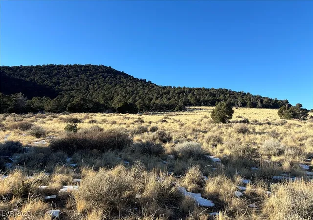 Homes for sale in Ely, NV | P 19 Butte Valley, Ely, NV 89301 | MLS# 2689404