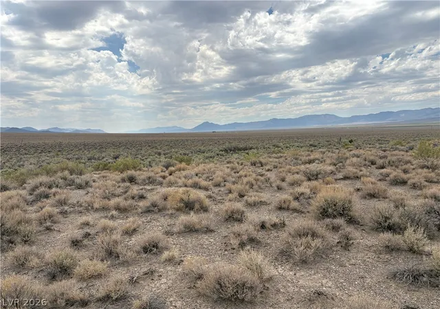 Homes for sale in Ely, NV | Mattier Creek, Ely, NV 89301 | MLS# 2759021