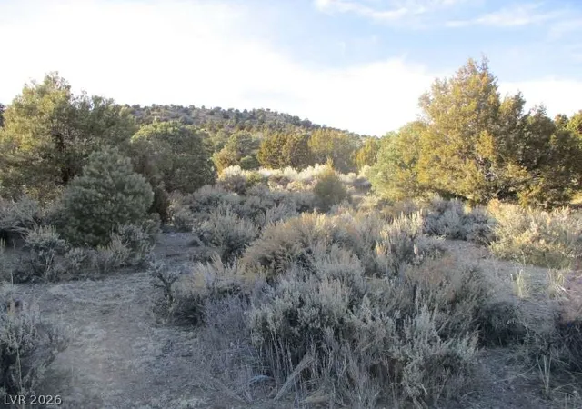Land for sale at Nv Hwy 322 (30.15 Ac), Pioche, NV 89043 | MLS# 2770326
