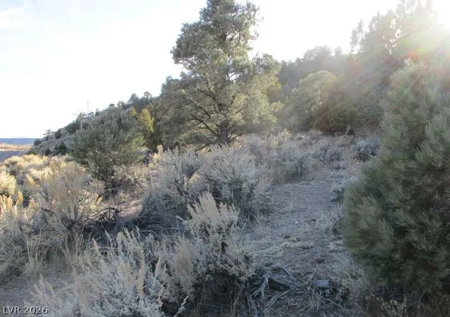 Photo 3 of Land for sale at Nv Hwy 322 (3015 Ac), Pioche, NV 89043 | MLS# 2770326 | Listing updated on 2026-08-26