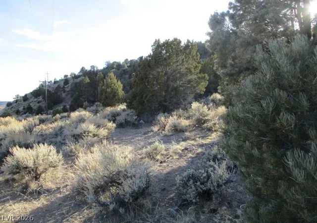 Photo 4 of Land for sale at Nv Hwy 322 (3015 Ac), Pioche, NV 89043 | MLS# 2770326 | Listing updated on 2026-08-26